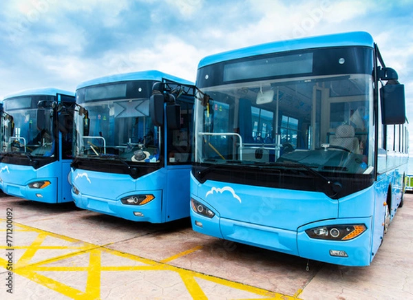 Fototapeta Many electric driven new energy buses are neatly parked in outdoor parking lots