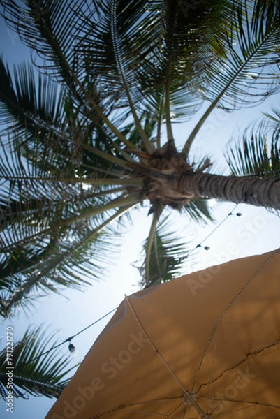 Obraz fondo de verano 