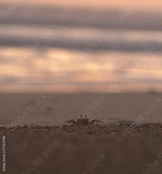 Obraz atardecer en la playa 