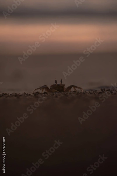 Obraz atardecer en la playa 