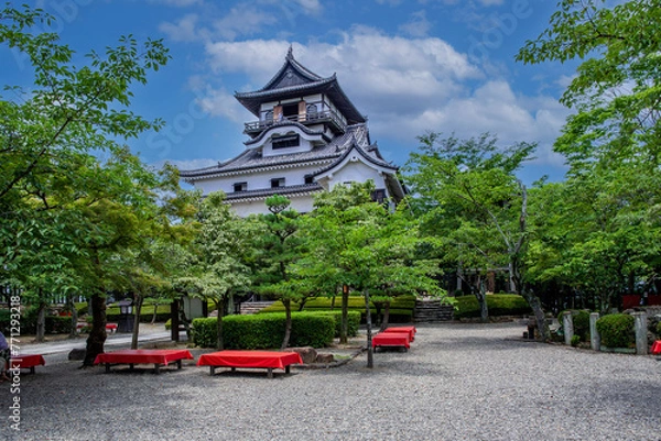 Fototapeta 犬山城