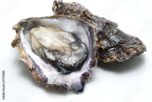 Obraz Surowe ostrygi