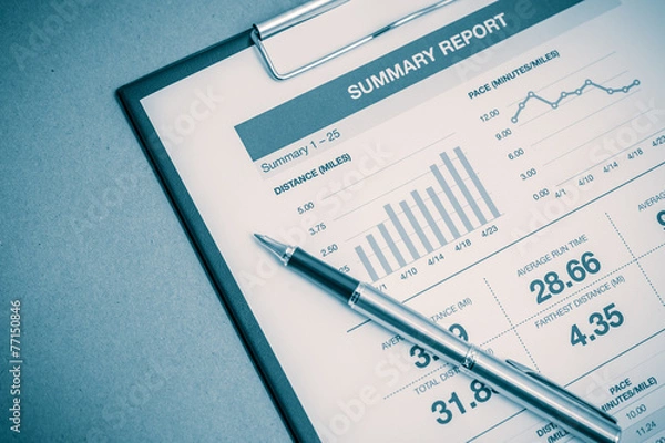 Fototapeta Showing business and financial report. Accounting