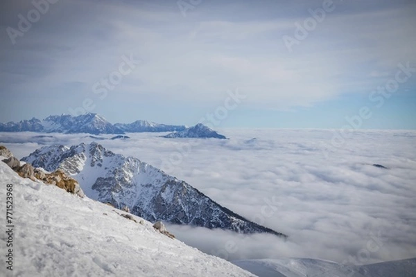 Fototapeta Stunning landscape of snow-covered woods and a distant mountain range in Slovenia