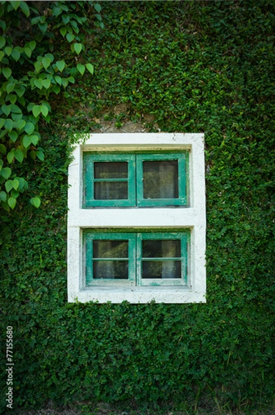 Fototapeta Grass wall with old window.