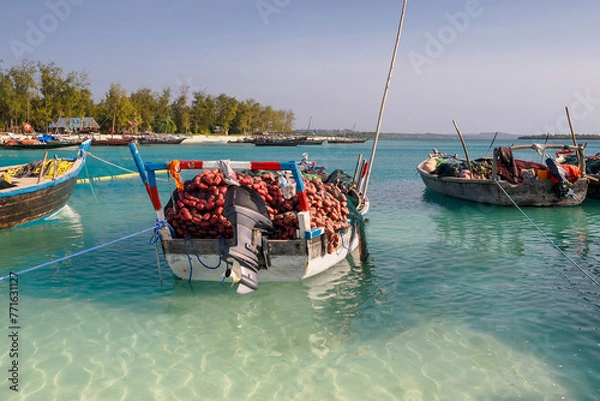 Obraz Fishing boats with nets on board waiting to go out and catch fish. Zanzibar Kendwa beach	