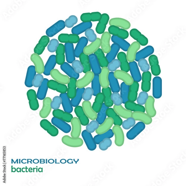 Obraz Bacteria. Vector.
