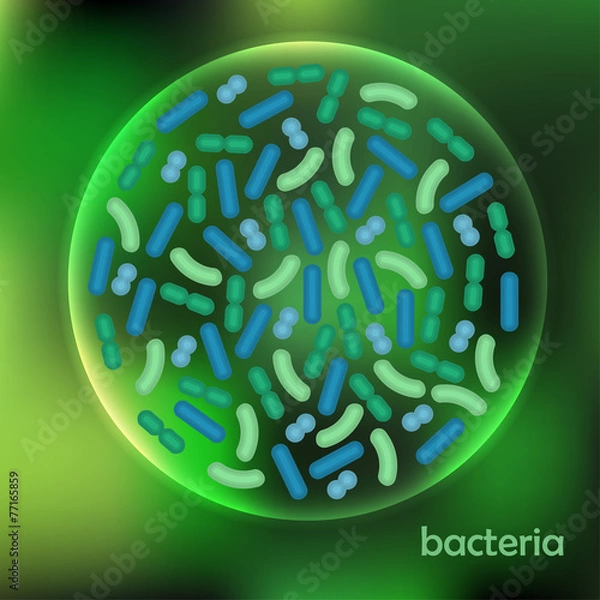 Obraz Bakteria. Wektor.