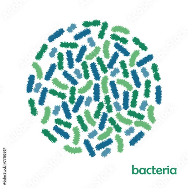 Obraz Bacteria. Vector.
