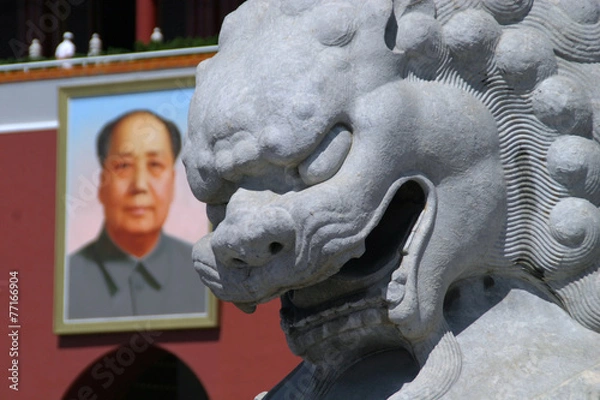 Obraz detailed picture mao
