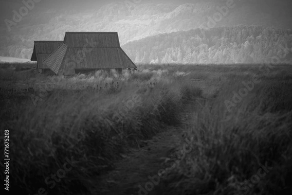 Obraz Polska Bieszczady Jesień