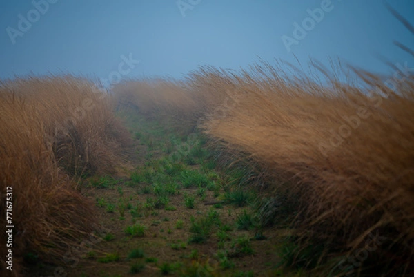 Obraz Polska Bieszczady Jesień