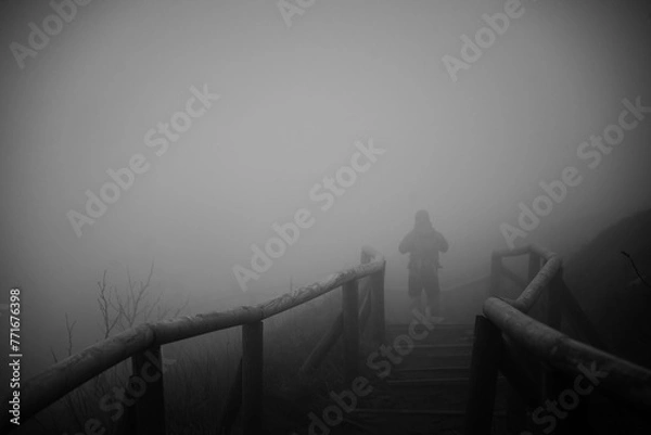 Obraz Polska Bieszczady Jesień