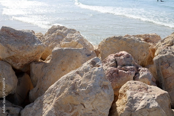 Fototapeta Stones and shells on the shore of the Mediterranean Sea.