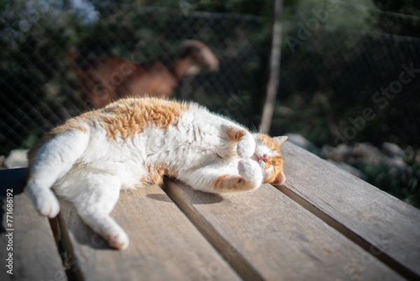 Obraz Mallorca Spain January