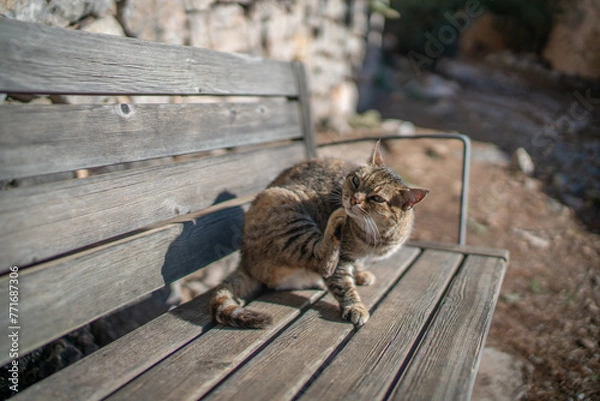 Obraz Mallorca Spain January