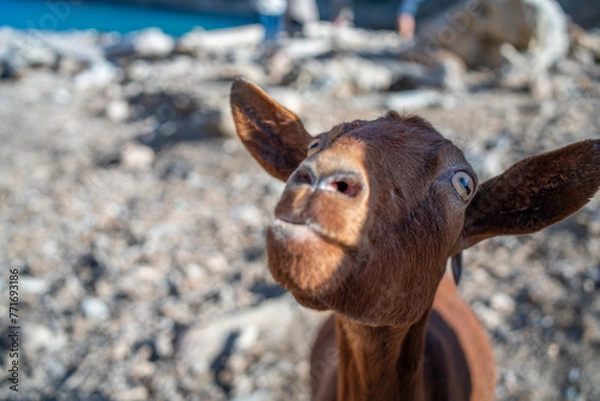 Obraz Mallorca Spain January