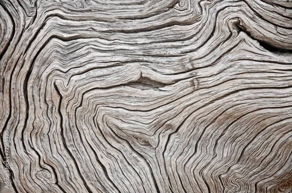 Fototapeta Wood texture