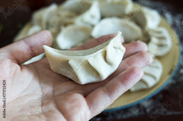 Fototapeta dumplings 