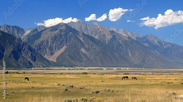 Fototapeta  A trio of equines roam in a meadow before rugged mountains with a valley upfront and cloudy skies behind