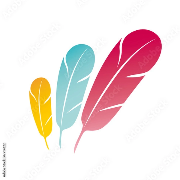 Obraz Colourful feathers