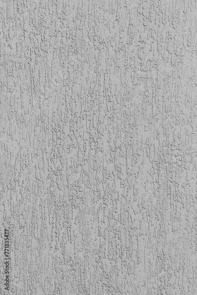 Obraz Grey rough wall plaster bark beetle hard surface stucco texture background solid gray structure