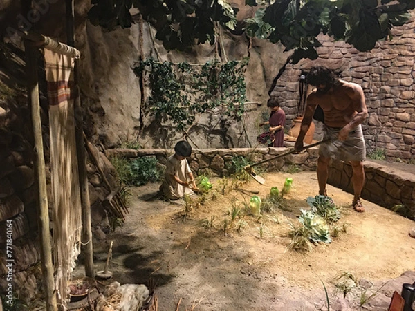 Obraz display of ancient cultivation