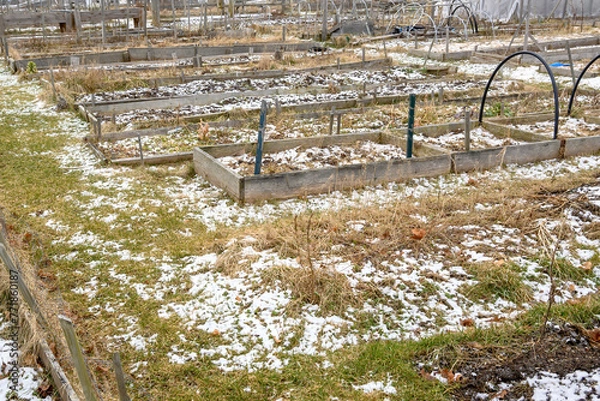 Obraz A community garden in winter. The garden has places for plants, but is otherwise empty except for dead grass and snow.