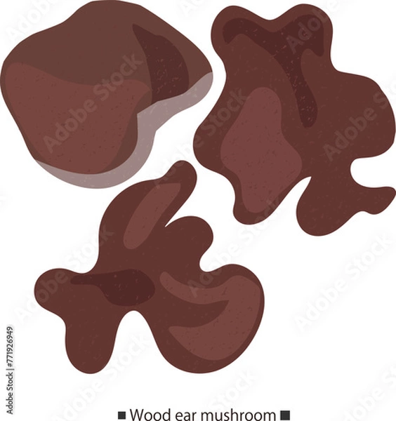 Obraz キクラゲのテクスチャーのあるシンプルなベクターイラスト