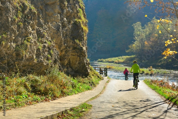 Obraz The woman is riding a bicycle along Dunajec river in autumn sunny day, Pieniny mountains located near  Szczawnica