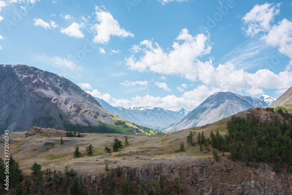 Fototapeta View above cliff to alpine green valley and large mountain range with snowy top far away. Sparse conifer trees on precipice edge in high mountains. Open coniferous forest on rocky wall above abyss.
