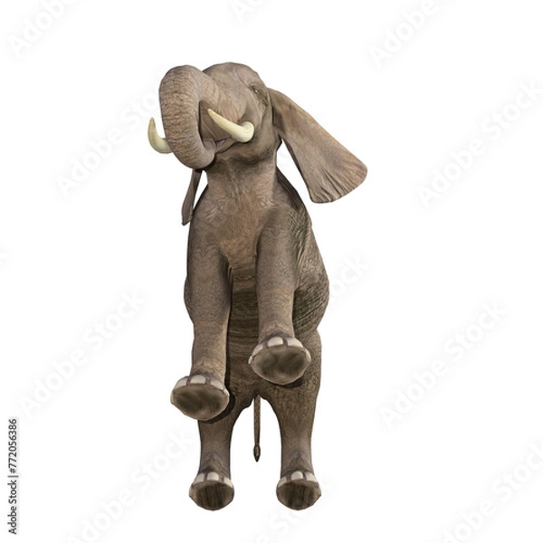 Fototapeta African elephant depicted in various poses and angles, pose #03. 3D model, PNG.