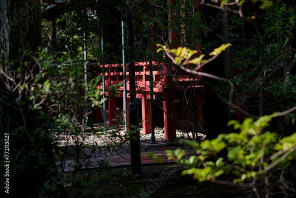 Fototapeta 東京赤坂にある氷川神社の境内