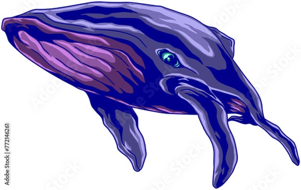 Fototapeta Illustration of a swimming whale on a transparent background