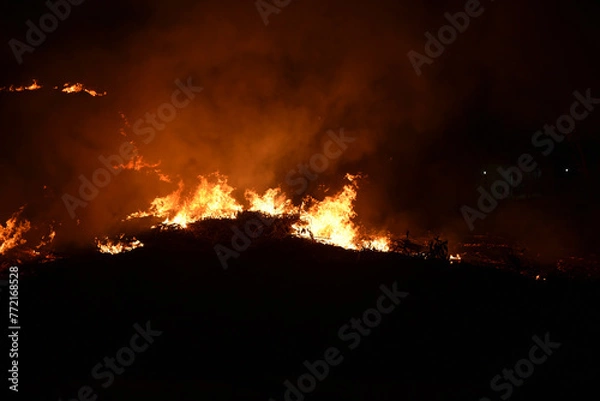 Fototapeta A forest get burned in the dry season