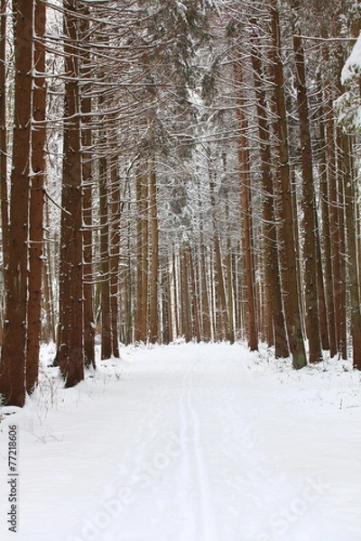 Fototapeta Winterlandschaft