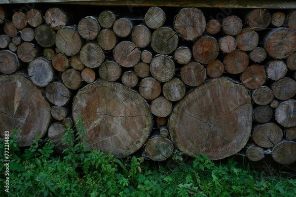 Obraz stack of firewood