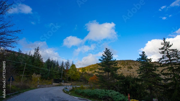 Obraz landscape with trees and clouds