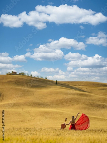 Obraz red riding hood