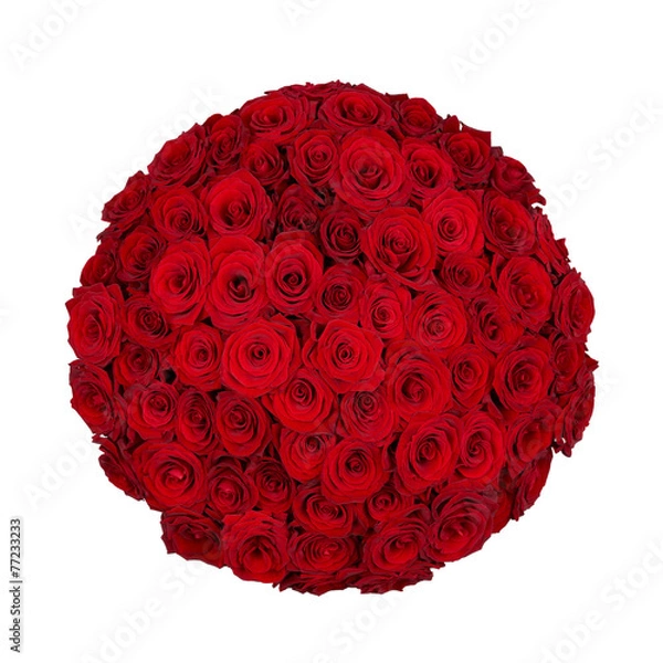 Obraz Seventy one roses