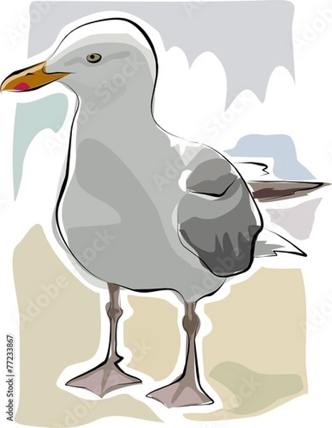 Obraz szkicowa mewa