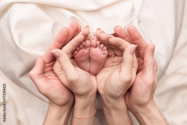 Obraz Children's feet in the arms of their parents. On a white background.