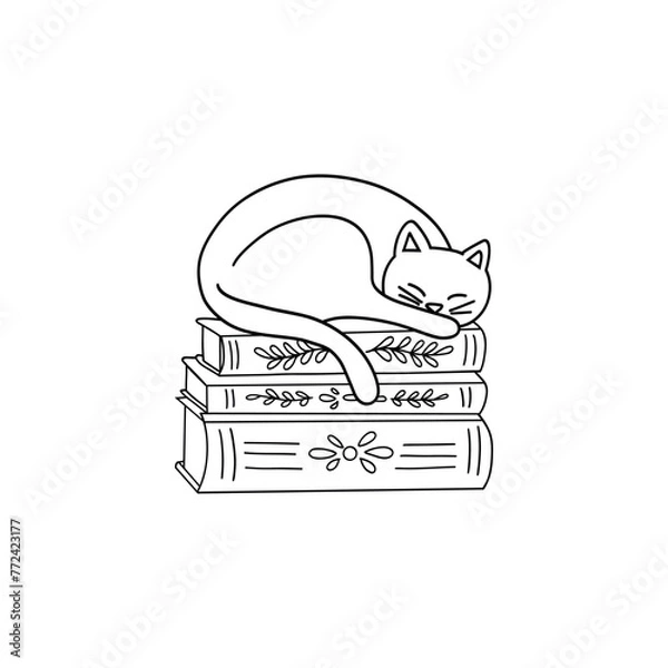 Fototapeta Vector illustration of a cat sleeping on books
