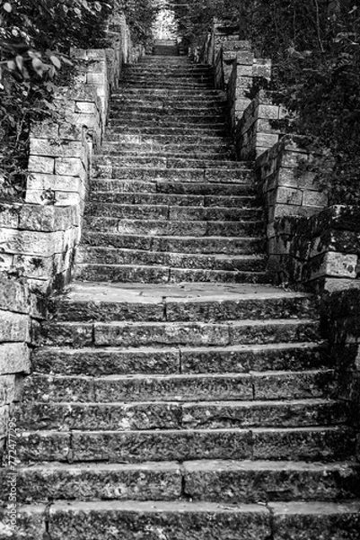 Obraz Many stone stairs in the park. Black and white