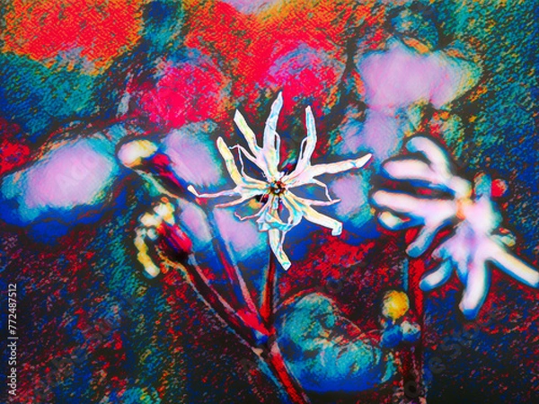 Fototapeta abstract illustration of wild flower in multicolored tones, with blurred background