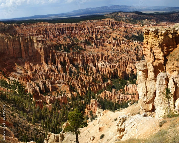 Fototapeta Bryce Canyon Hoodoos