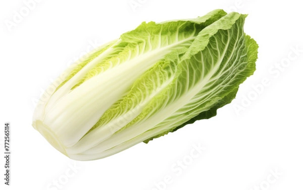 Fototapeta A vibrant lettuce leaf elegantly rests on a stark white background