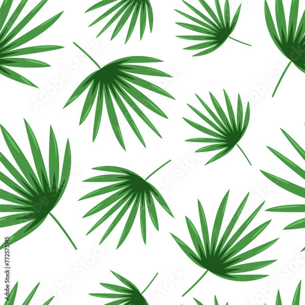 Fototapeta The leaves of Rhapis humilis. Vector illustration, seamless pattern. Isolated elements on a white background for printing and fabric production.