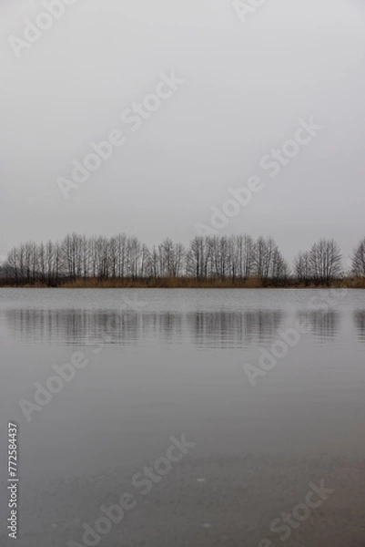 Fototapeta frozen lake in winter in cloudy weather, ice on the lake ts