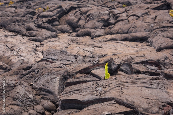 Obraz lava mauna loa